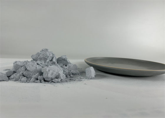 Tulang Tulang Tulang Tulang Tulang Tulang Tulang Tulang