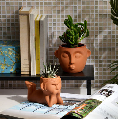 Pot Tanaman Terracotta Kecil Indoor Ketahanan terhadap noda